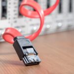 it, server, server cabinet, network, cable, patch cord, network cable, rj45, data processing, lan, network plug, connection, patch, macro, hardware, edp, ethernet, computer, company, network connection, nsa, wiretapping, server, server, server, server, server